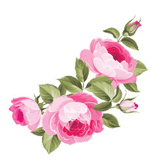 The rose elegant card. A spring decorative bouquet of roses flowers. Small floral garland. Vector illustration.