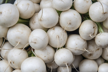 White radish