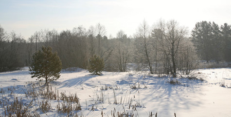 winter landscape