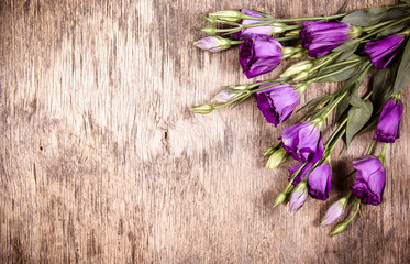 Violet flowers of eustoma on an old wooden background. Copy space. Wooden background