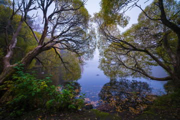 Autumn fog