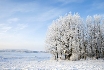 Walk through the beautiful winter scene in Russia