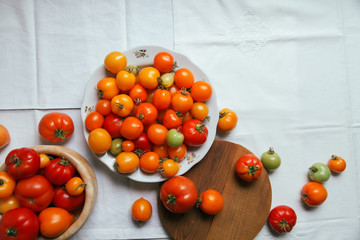 Fototapeta na wymiar Fresh organic tomatoes of different colors on white textile background. Harvest concept. Horizontal composition. Overhead view, natural lighting, copy space.