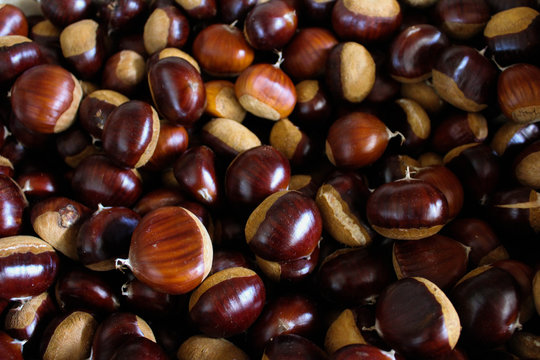 Tantissime castagne di diverso colore e grandezza pronte per essere raccolte e mangiate