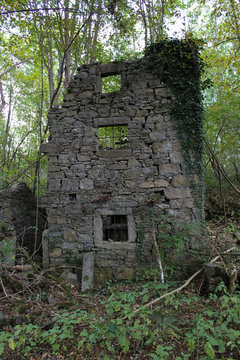 Rudere tra la natura