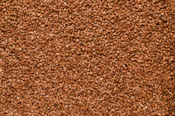 Background of buckwheat groats