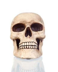 Obraz premium Creepy skull with reflection