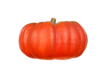 Big orange pumpkin