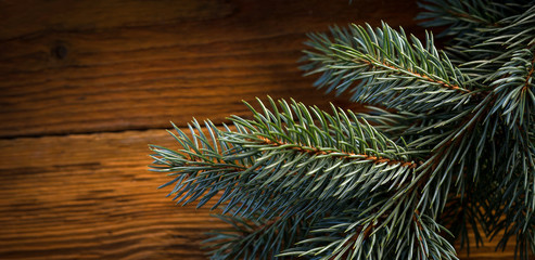 Christmas fir tree with decoration on wooden board