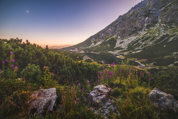 Obraz premium Mountain Lake at Sunset with Flowers and Rocks in Foreground. Velicke Tarn, High Tatras, Slovakia.