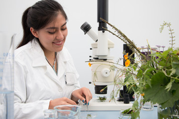 Young botanist at work, preparing fresh plant sample and examining specimen for further analysis