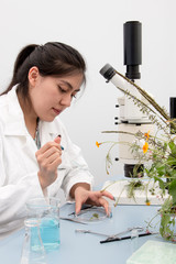 Young botanist at work, preparing fresh plant sample and examining specimen for further analysis