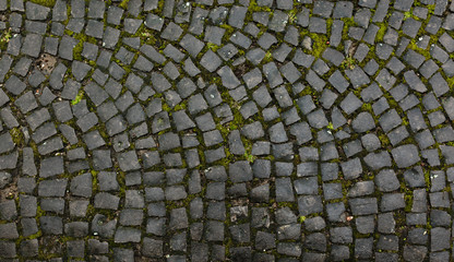 Overhead view of cobblestone street texture with moss. Stone pavement texture.