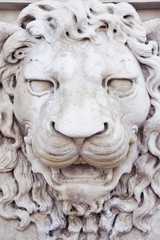 Sculpture of a medieval lion head of stone (Italy) - frontal view
