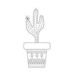 Cactus zentangle style for adult and children coloring book page.vector illustration.