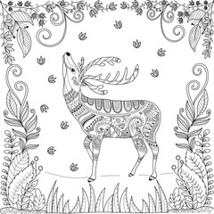 Coloring book page of deer in jungle for adult.zentangle stlyized.vector illustration.