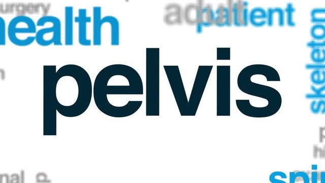 Pelvis animated word cloud, text design animation.