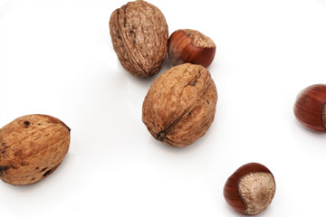 Walnuts and hazelnuts