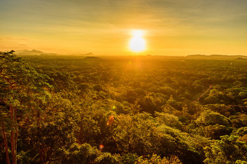 Fototapeta premium Aerial view of tropical forest of Sri Lanka
