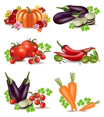 Vegetables autumn harvest set collection Vector. Realistic pumpkin, eggplant, carrots and tomatoes. Fall Season illustrations