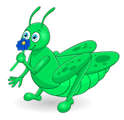 Cartoon cute grasshopper