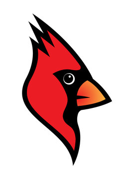 Red cardinal bird logo vector illustration isolated on white background