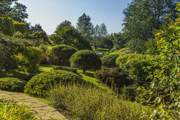 Autumn garden