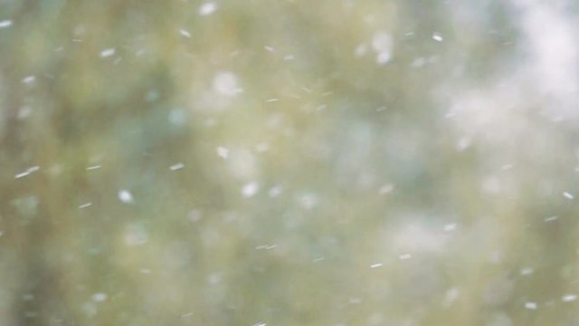 Snow flakes falling in slow motion. Winter nature background.