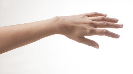 Woman hand on white