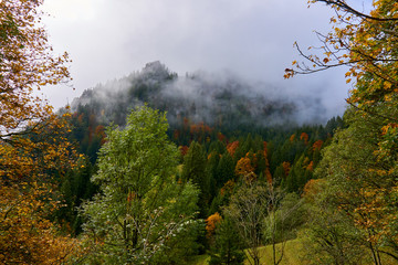 Mist over the autumn forest landscape in the mountains