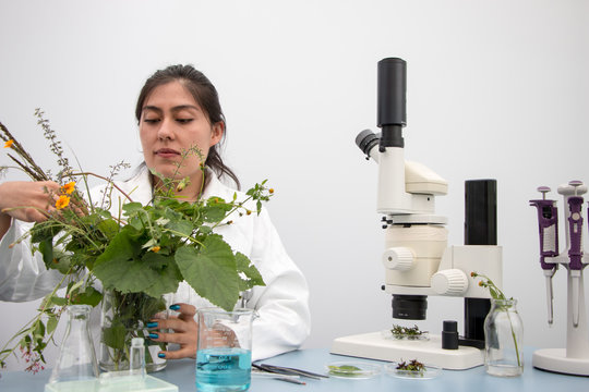 Young botanist at work, preparing fresh plant sample and examining specimen for further analysis