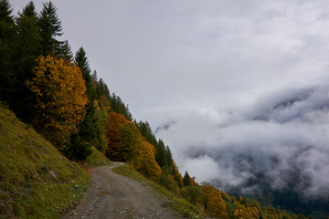 Autumnal forest trail with fog over the mountains