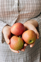 Three fresh apples in a woman hands.