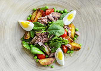 Tuna salad with lettuce, eggs and tomatoes.