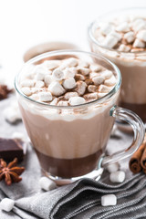 Hot chocolate or cocoa with marshmallow. Traditional winter drink.