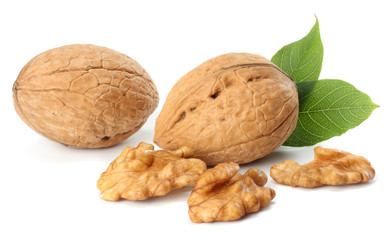Green walnuts with leaves isolated on a white background