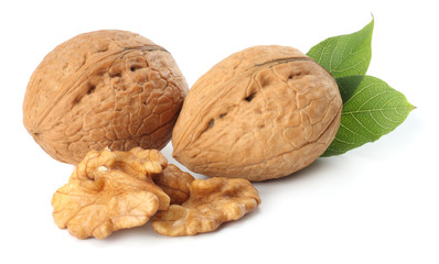 Green walnuts with leaves isolated on a white background