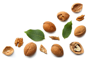 Green walnuts with leaves isolated on a white background