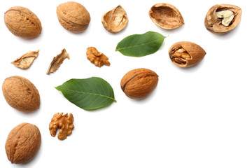 Green walnuts with leaves isolated on a white background