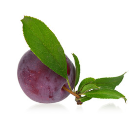 Fresh sweet plum