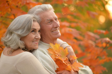 senior couple hugging   in the park 