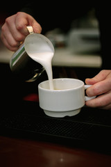 Barista pouring milk in capuccino or latte coffee in coffeeshop