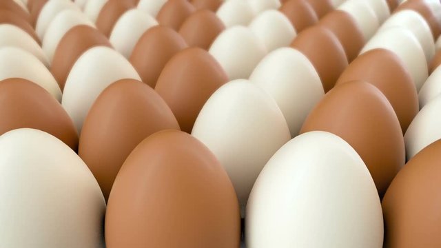 Closeup 3d CGI animation of camera moving along rows of brown and white chicken eggs. Seamless looping footage