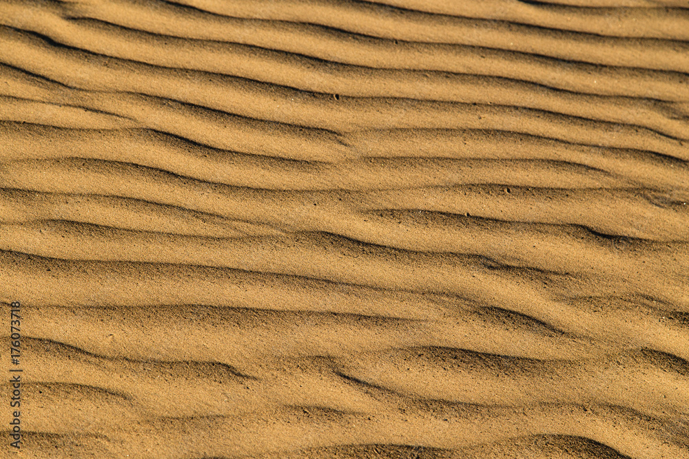 Wall mural sand in the desert as a background