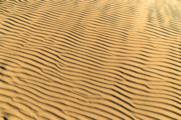 Sand in the desert as a background