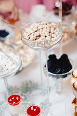 catering sweets. cake, cookies, cream, on a plate