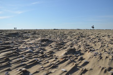 Plage de méditerranée sculpté par le vent 