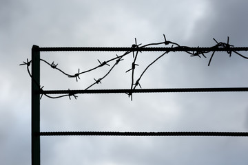 Silhouette of barbed wire.