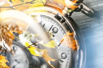 Fototapeta premium Autumn.