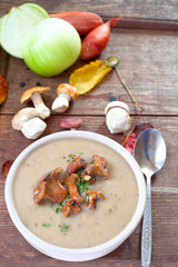 Pilz- Suppe